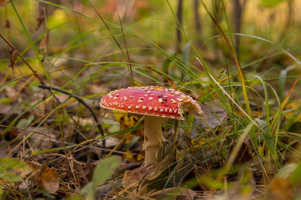 Photograph by Mikhail Tatanov