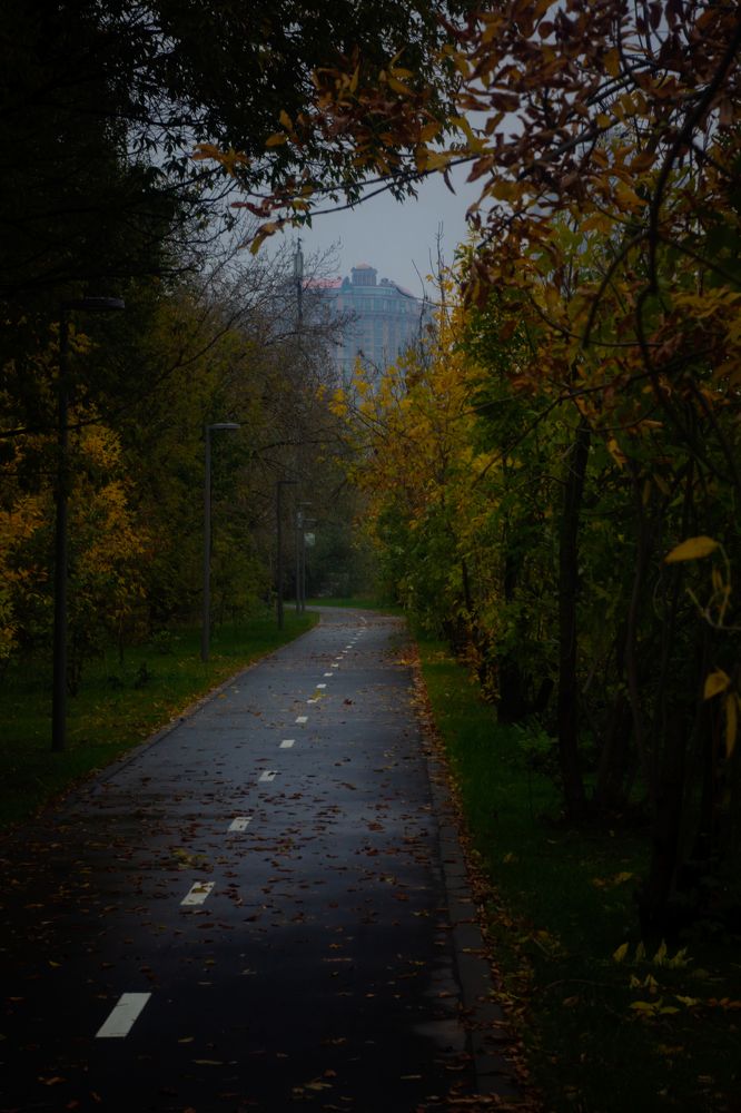 Photograph by Святослав Чех