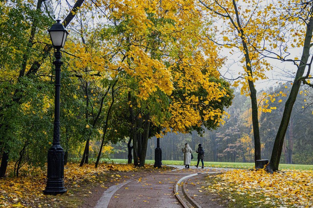 Photograph by Андрей Антонов