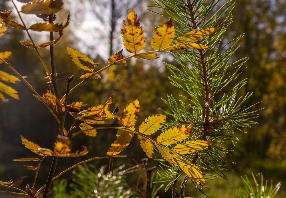 Photograph by Mikhail Tatanov