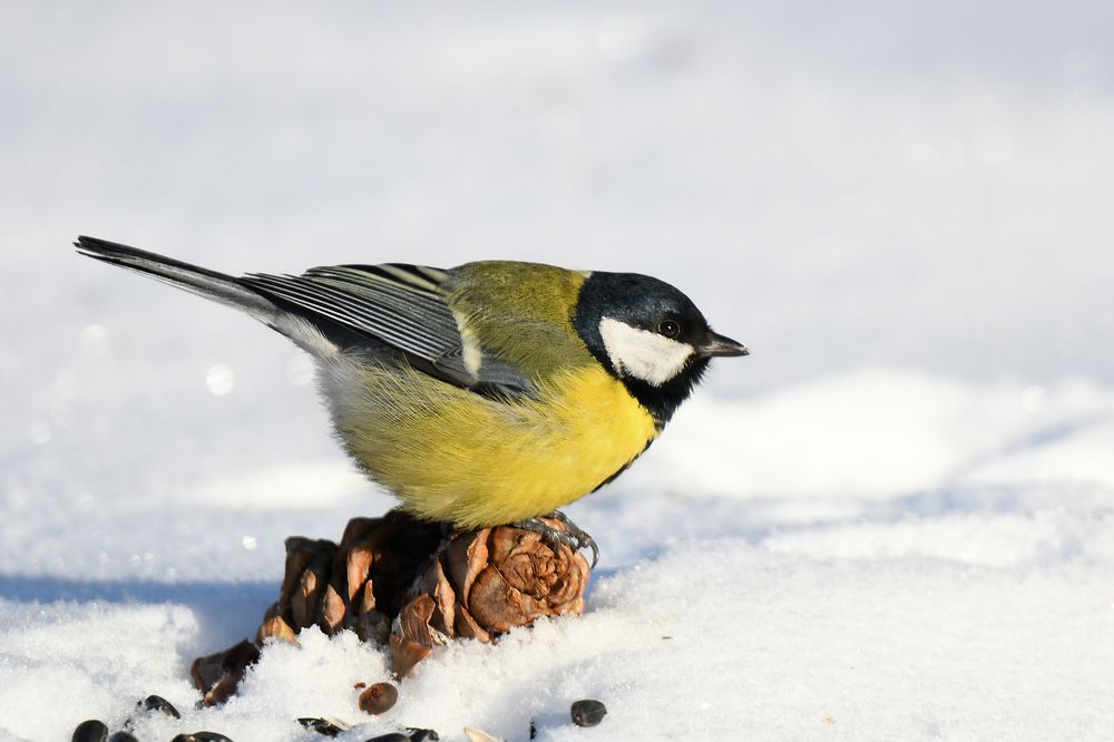 Photograph by Елена Гасенко