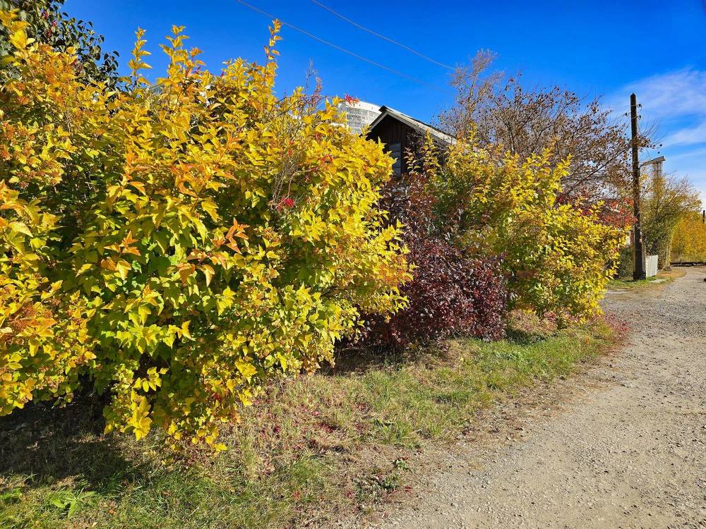 Photograph by Максим Фролов