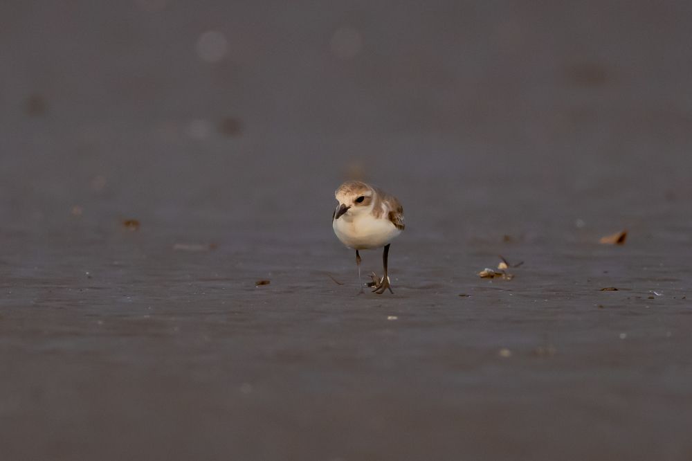 Photograph by Sameer Bhalekar