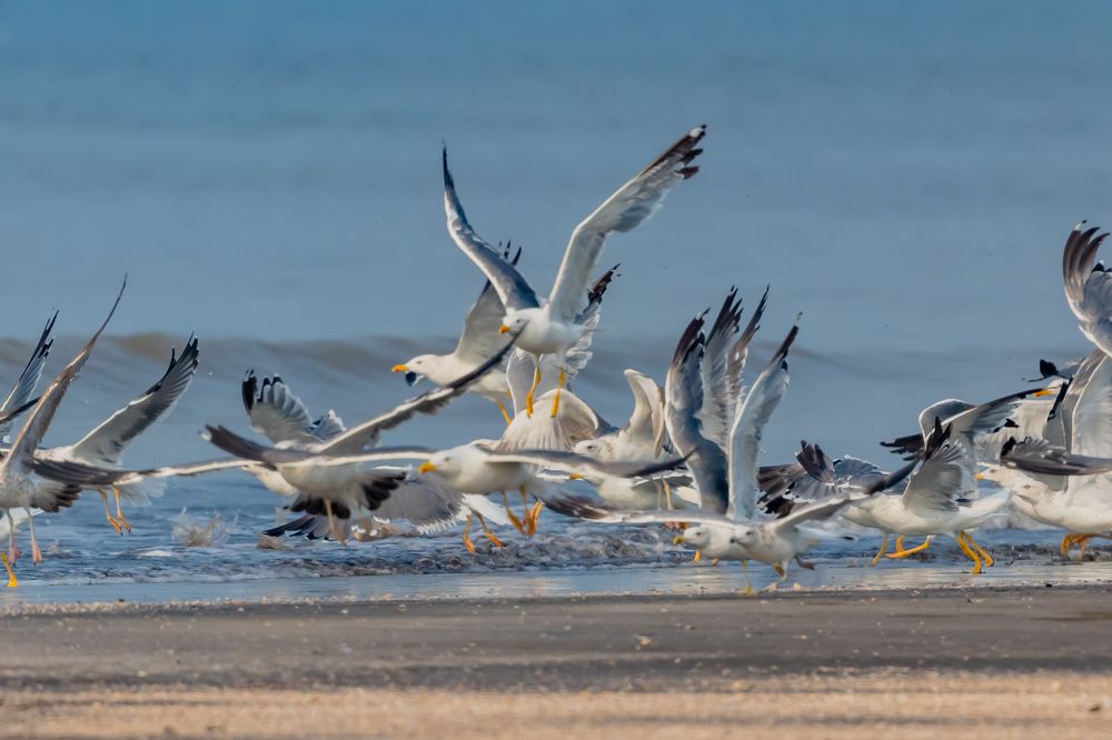 Photograph by Sameer Bhalekar