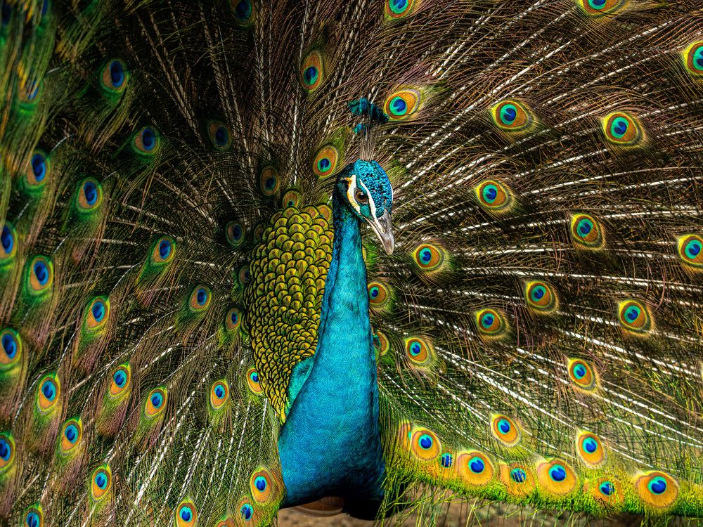 Photograph by Eu-Gene Lim