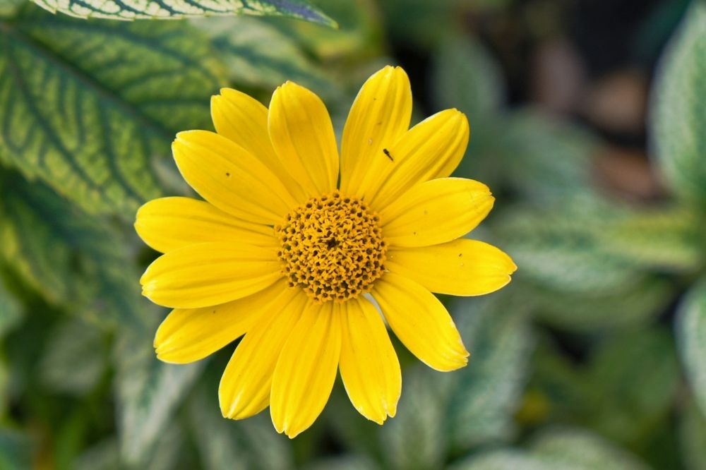 Photograph by Ольга Топорищева