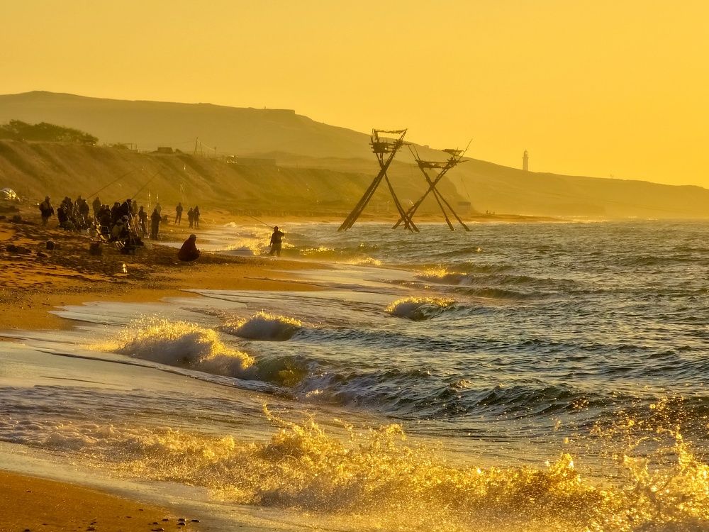 Photograph by Лариса Когтева