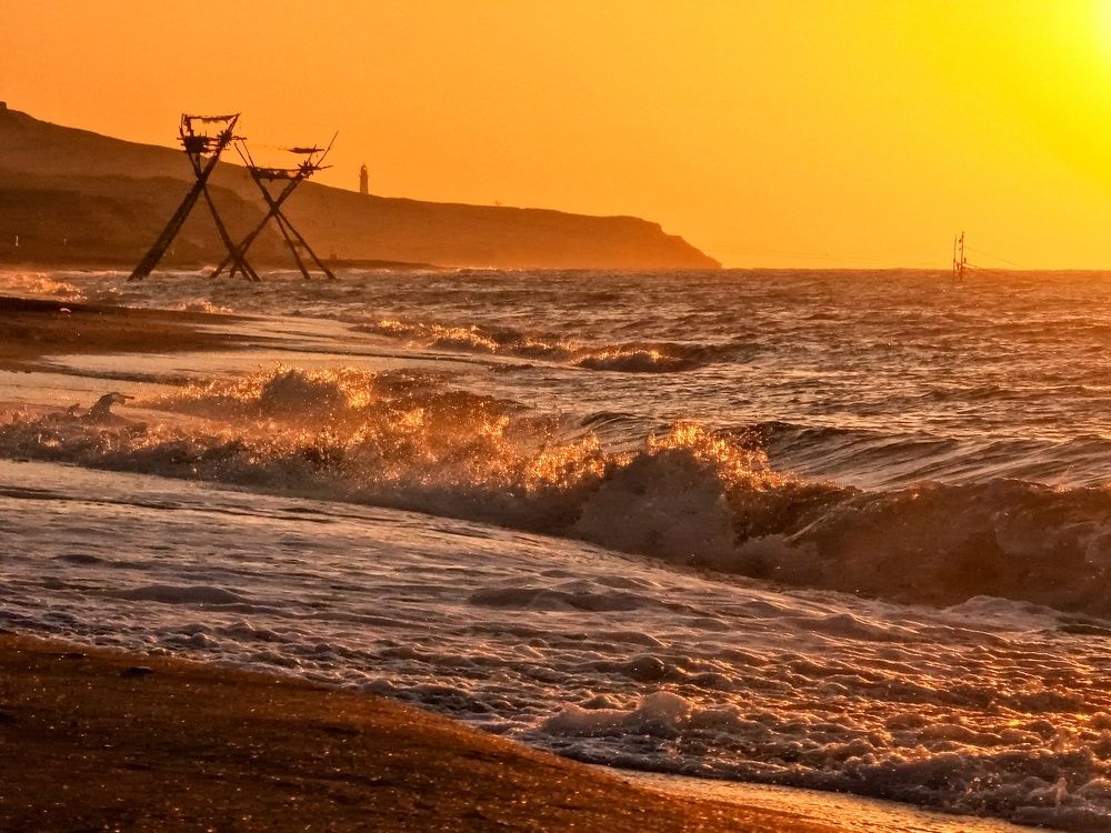 Photograph by Лариса Когтева