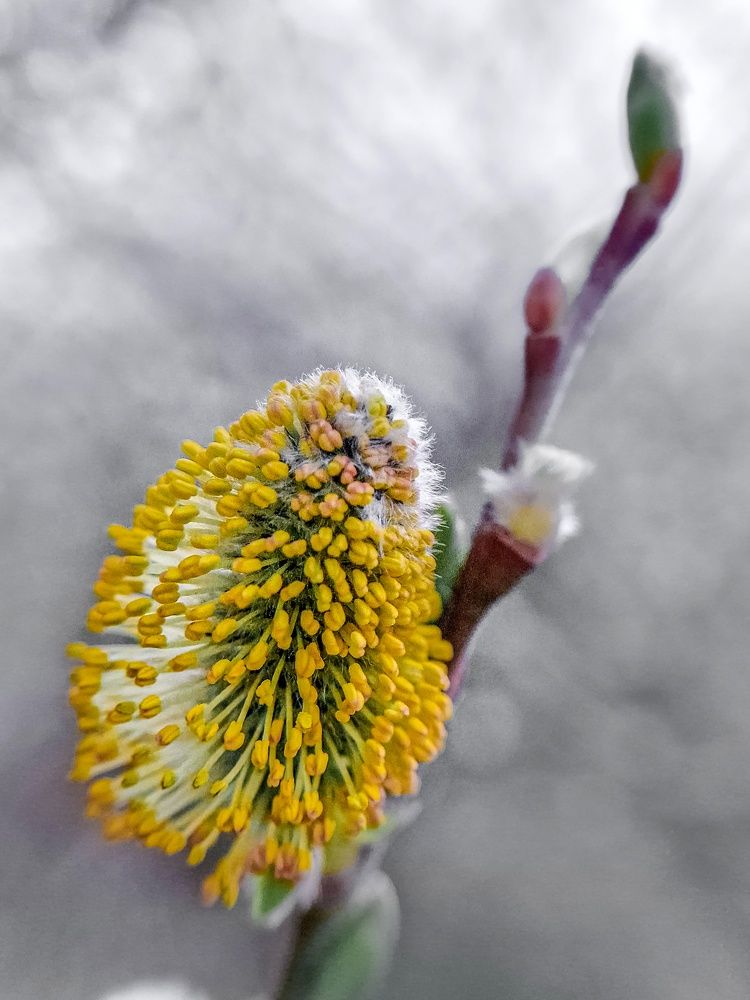 Photograph by Лариса Когтева