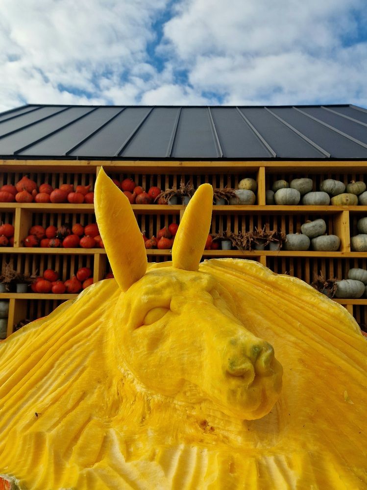 Фотография автора Maryna Pytliak