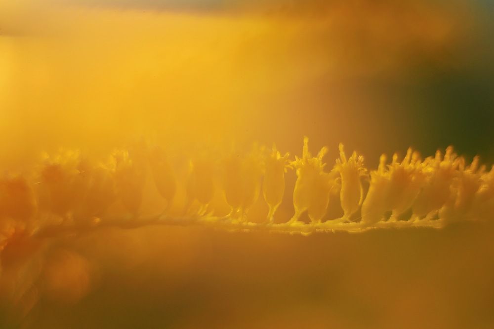 Photograph by Natalia Novkis