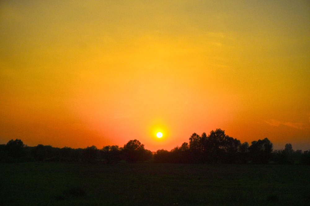 Photograph by Елена Шабельникова