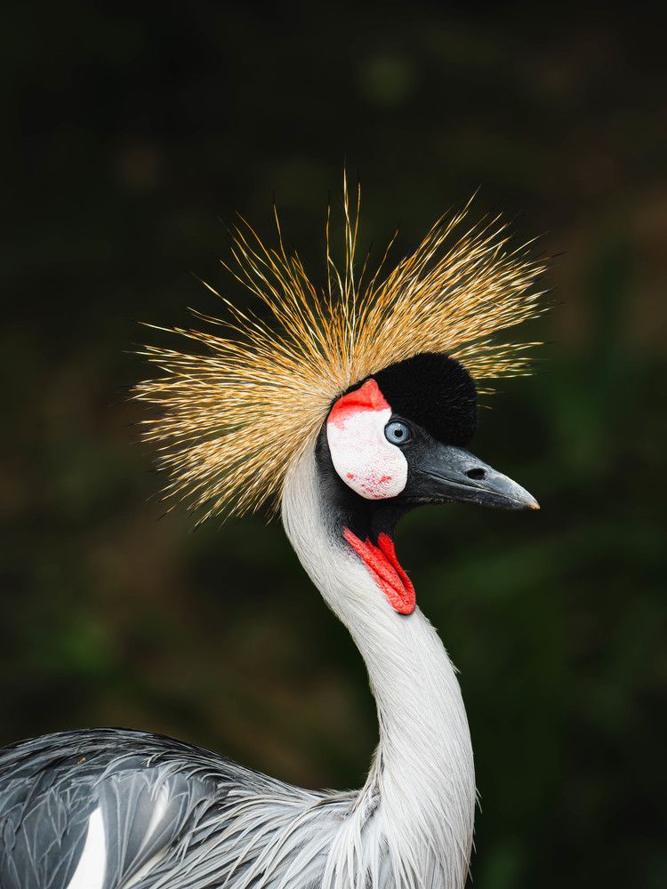 Photograph by Eu-Gene Lim