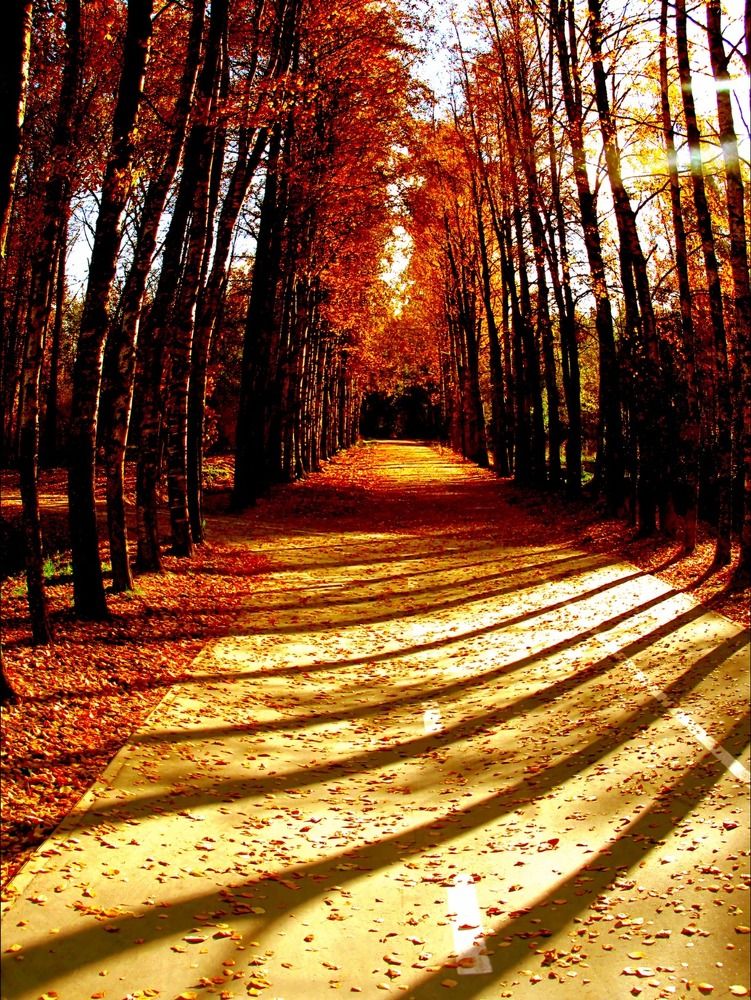 Photograph by Татьяна Слесарева