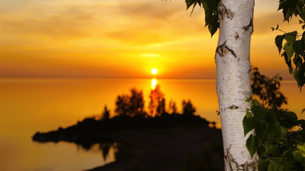 Amazing golden sunset