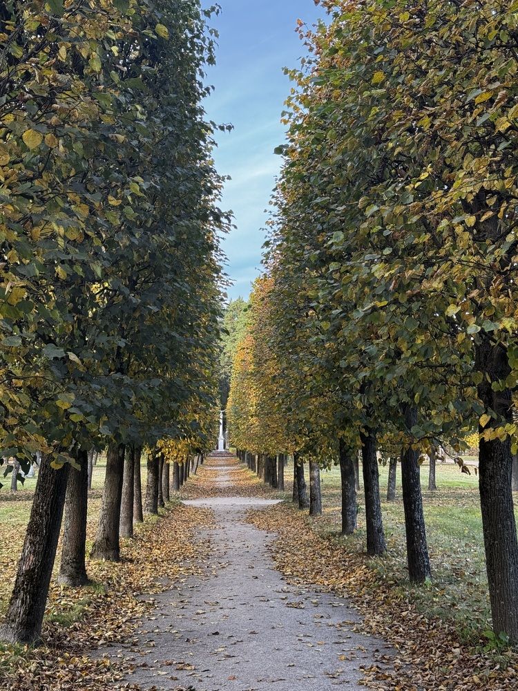Фотография автора Ринат Абдуллин