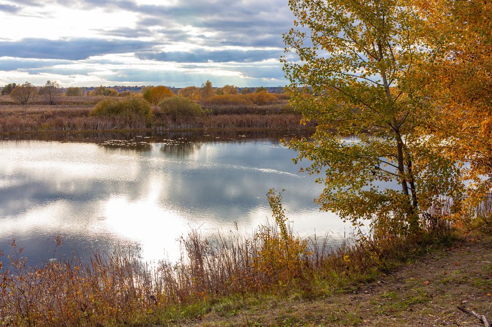 Photograph by Сергей Щербаков