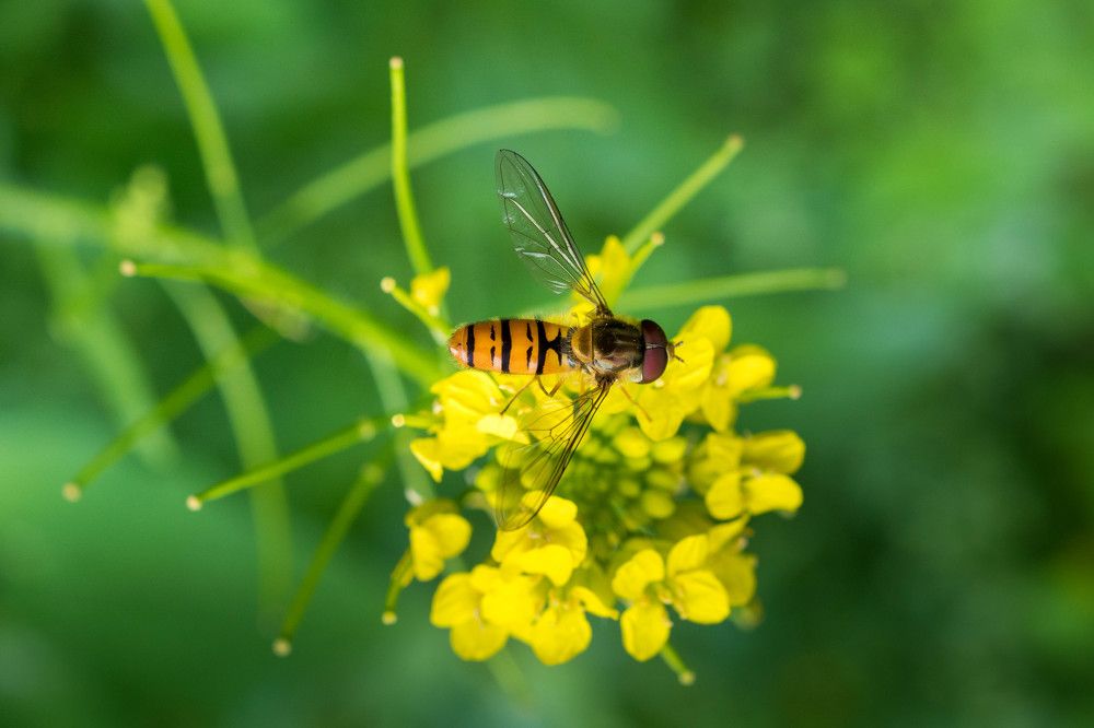 Photograph by Азат Кадиров