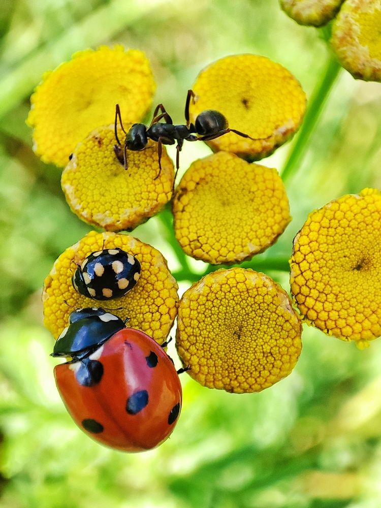 Photograph by Дмитрий Фетисов