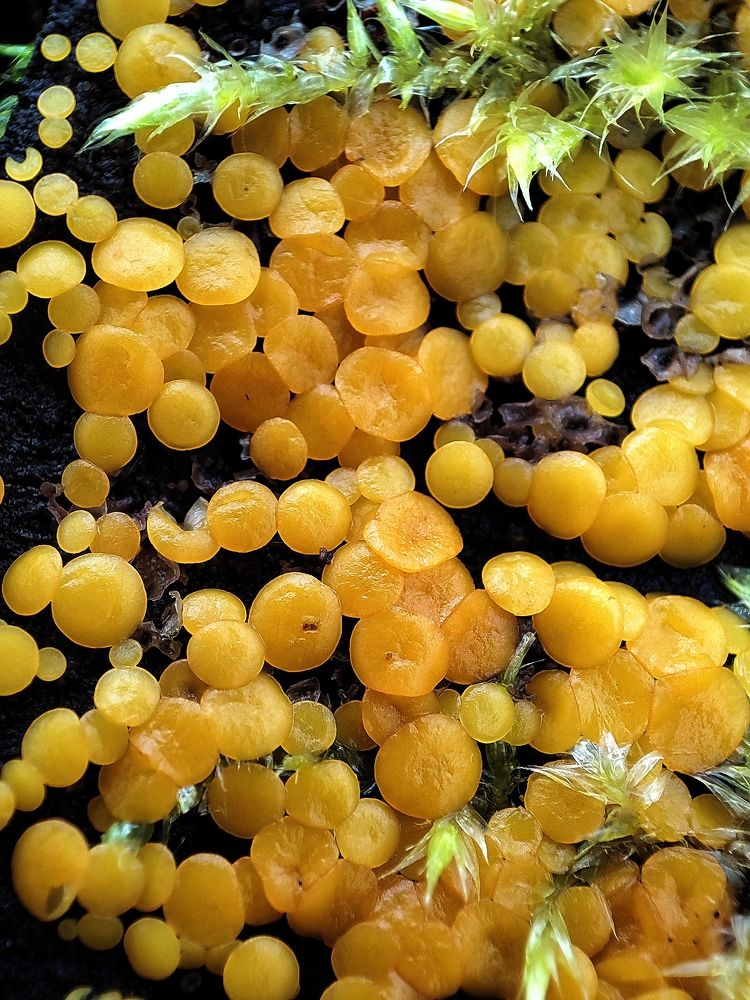 Photograph by Дмитрий Фетисов