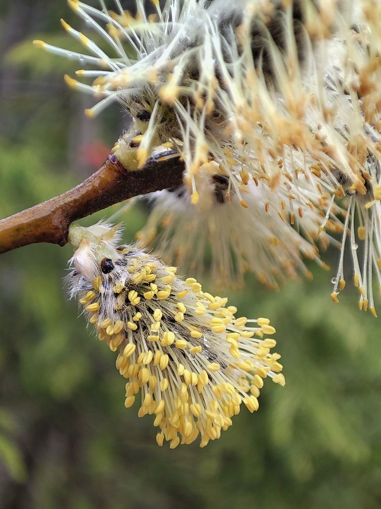 Photograph by Дмитрий Фетисов