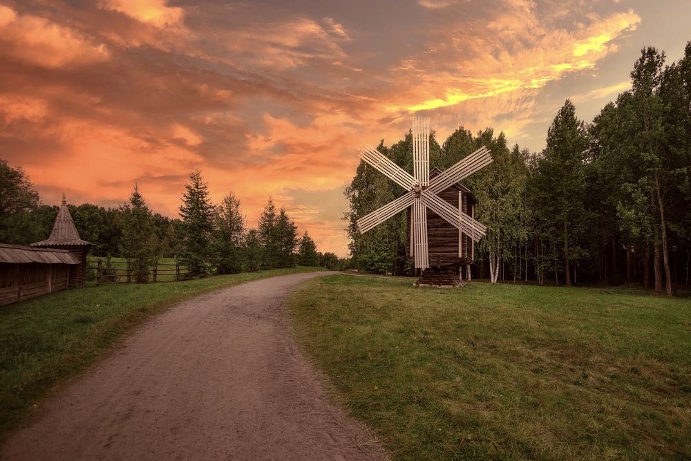 Фотография автора Виктория Шаманова