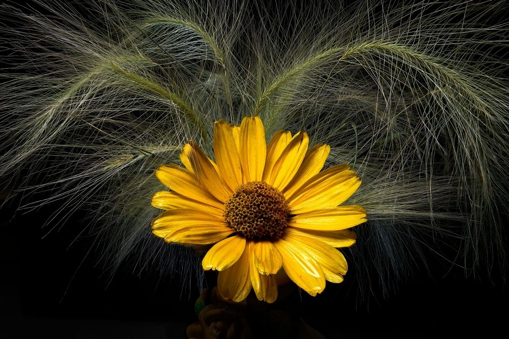 Photograph by Владимир