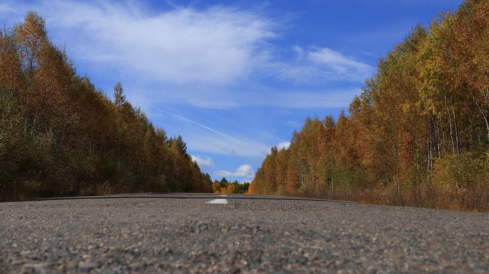 Дорога в осень