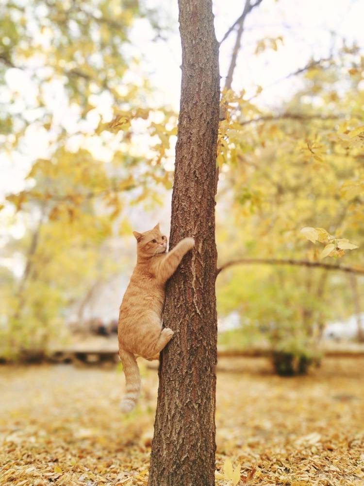 Photograph by Ольга Чернова
