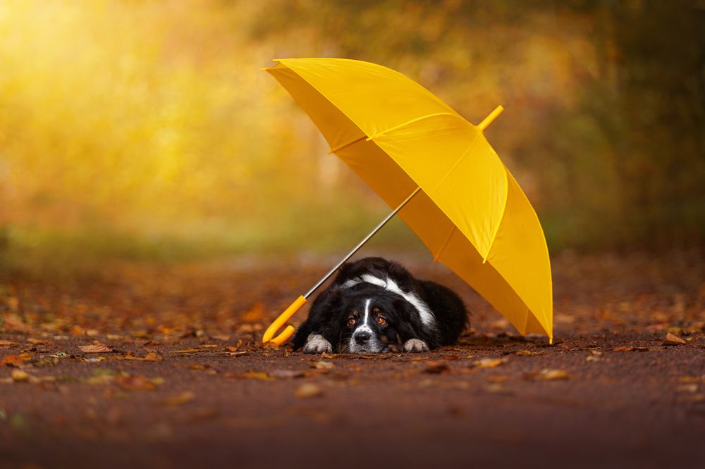 Photograph by Яна Нарбутович