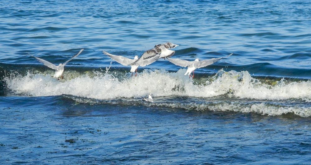 Photograph by Nikolai Barchan