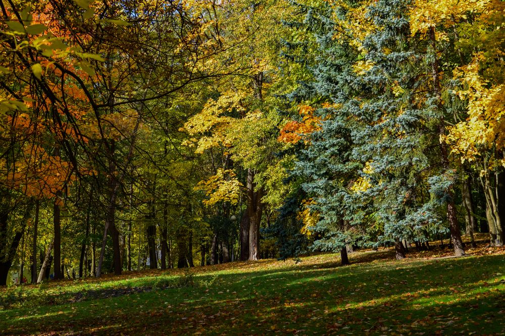 Photograph by Tarasov Alexander