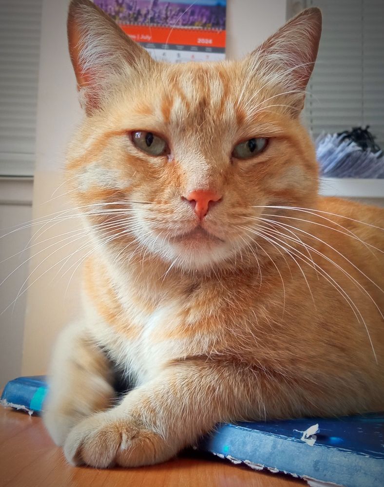 Photograph by Дмитрий Соколов