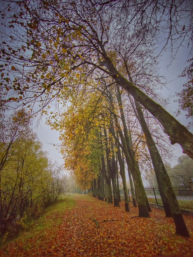 Photograph by Татьяна Егорова