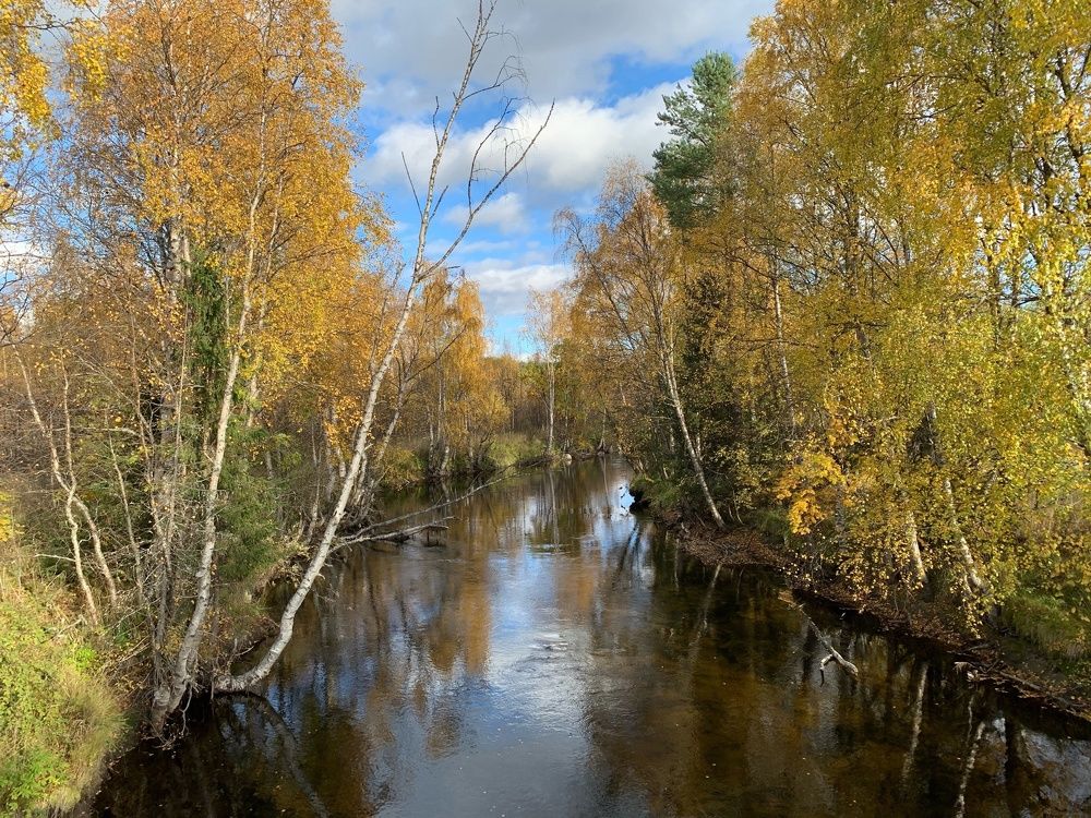 Photograph by Ирина Ахбаш