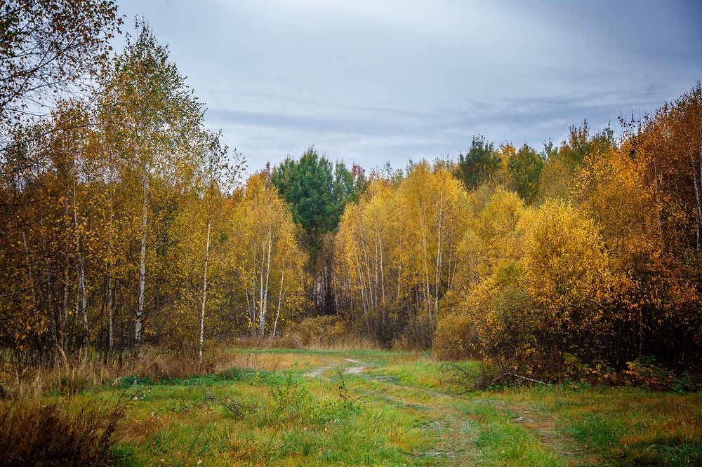 Photograph by Алексей Трифонов