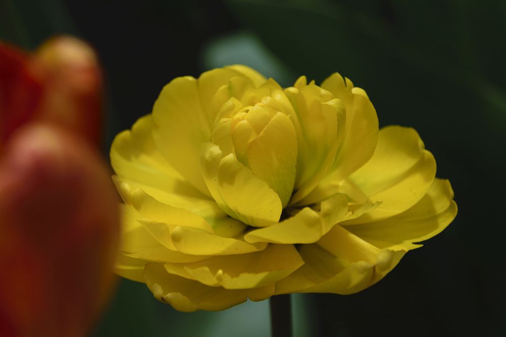 Photograph by Лилия Кондратьева