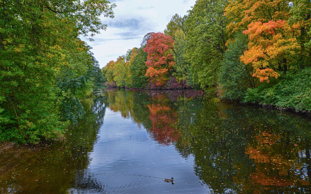 Photograph by Светлана Муравьева
