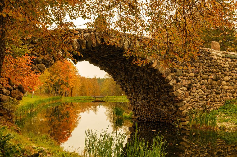 Фотография автора Наталья Липовская