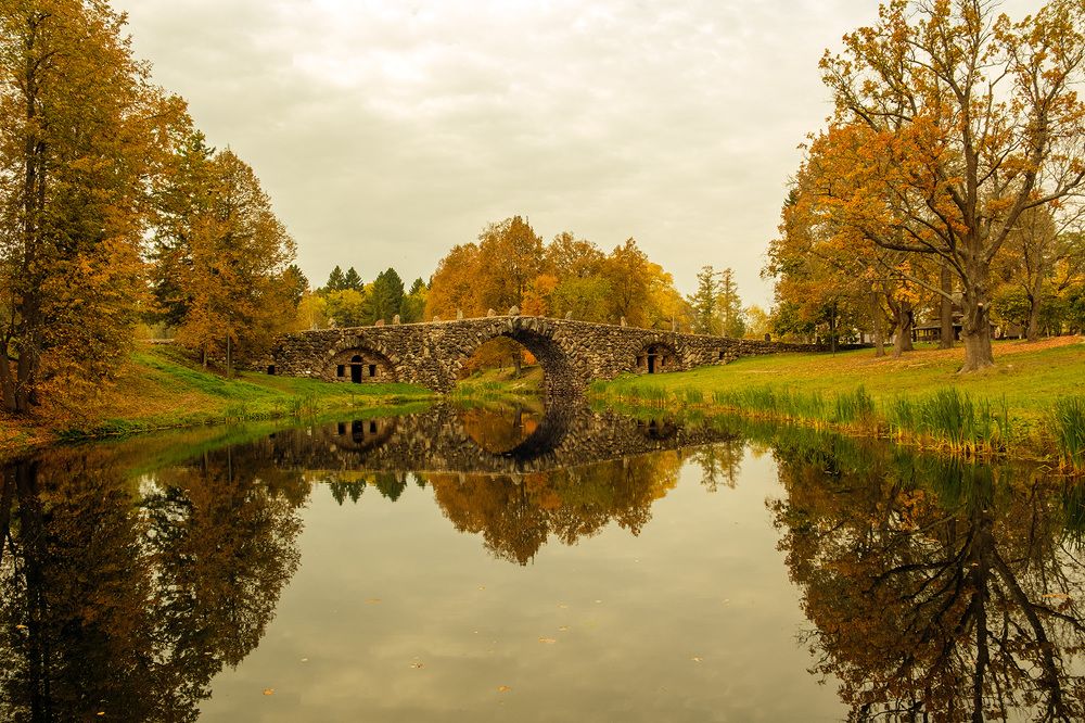 Фотография автора Наталья Липовская