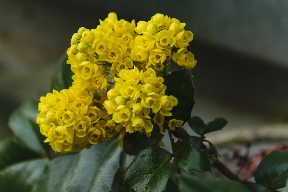 Photograph by Лилия Кондратьева