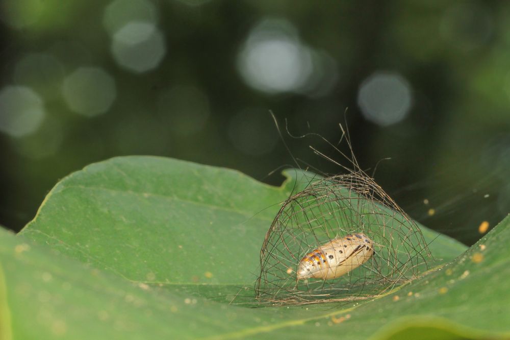 Фотография автора Sunil Kumar paswan