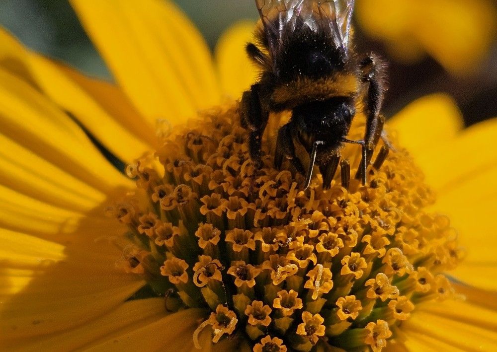 Photograph by Елена Ямнюк