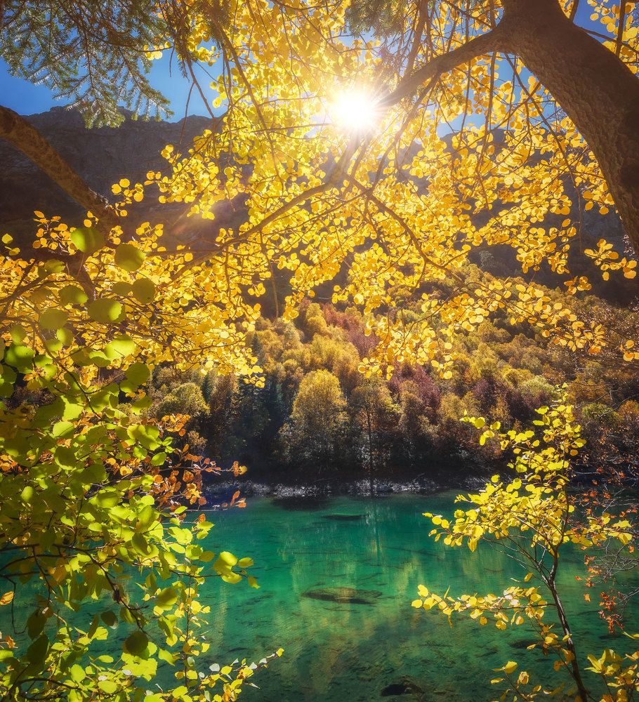 Photograph by Кахарова Наргиза