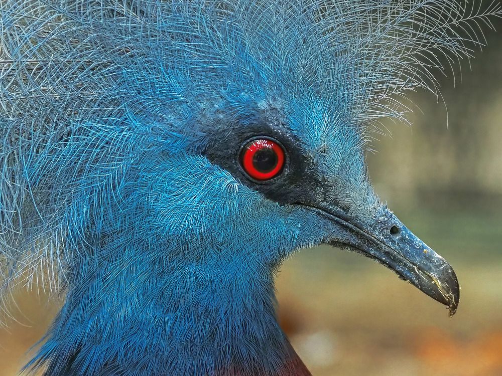 Photograph by Davide Poletto