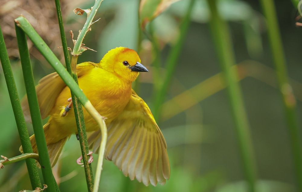 Photograph by Davide Poletto