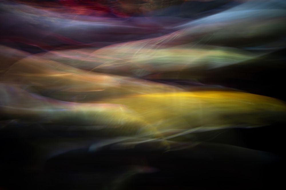 Photograph by Яна Каменская