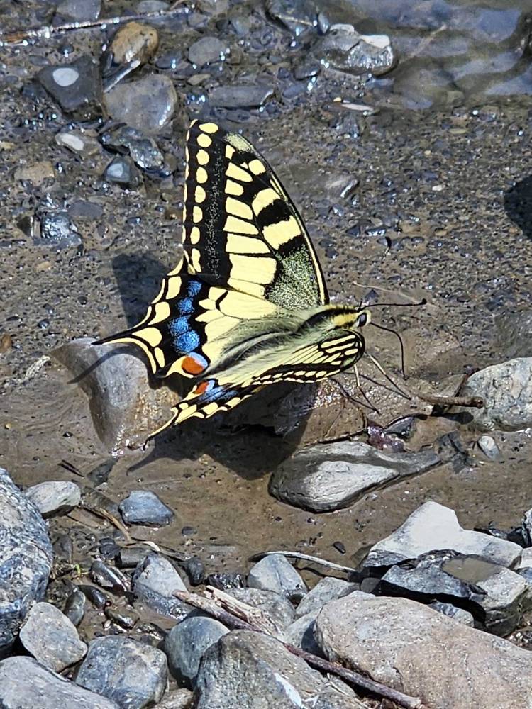 Photograph by Наталья Каплина