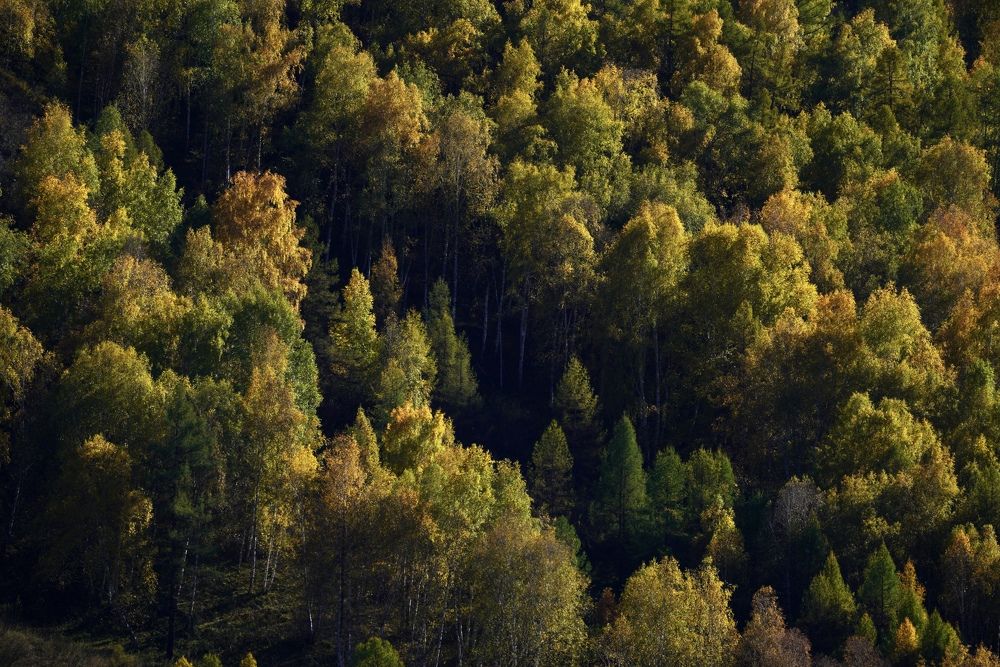 Photograph by Кузнецов Андрей