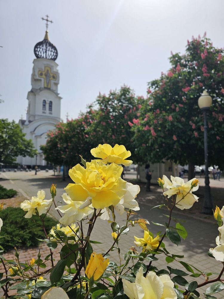 Photograph by Наталья Каплина